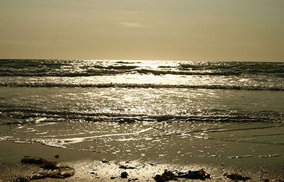 2020年污水處理行業發展趨勢、現狀及前景分析