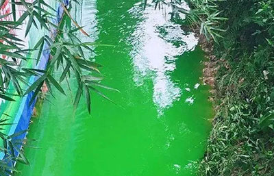 觸目驚心！水全都“染綠”了！多家企業被查處