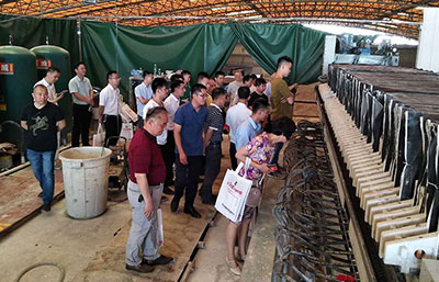 泥漿脫水機濾板運行緩慢的解決辦法