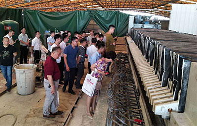 隔膜壓濾機用于污泥脫水的原理及優勢