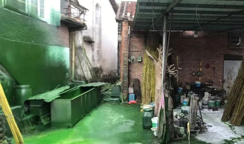 觸目驚心！水全都“染綠”了！多家企業被查處！